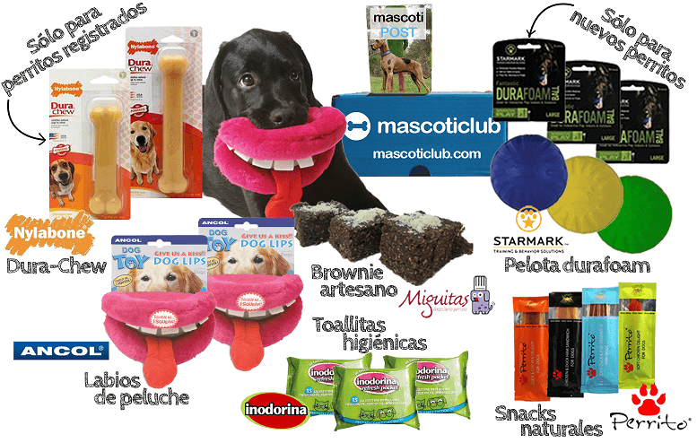 Cajas con muestras de productos para mascotas